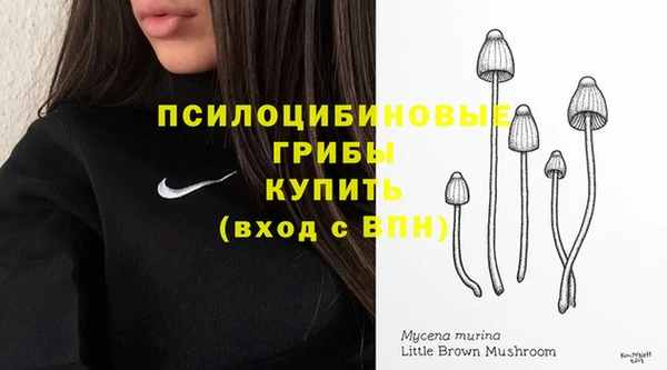 гашик Алзамай
