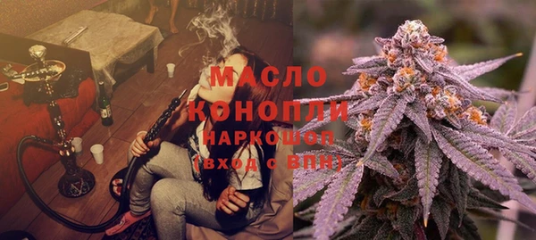 шишки Горняк